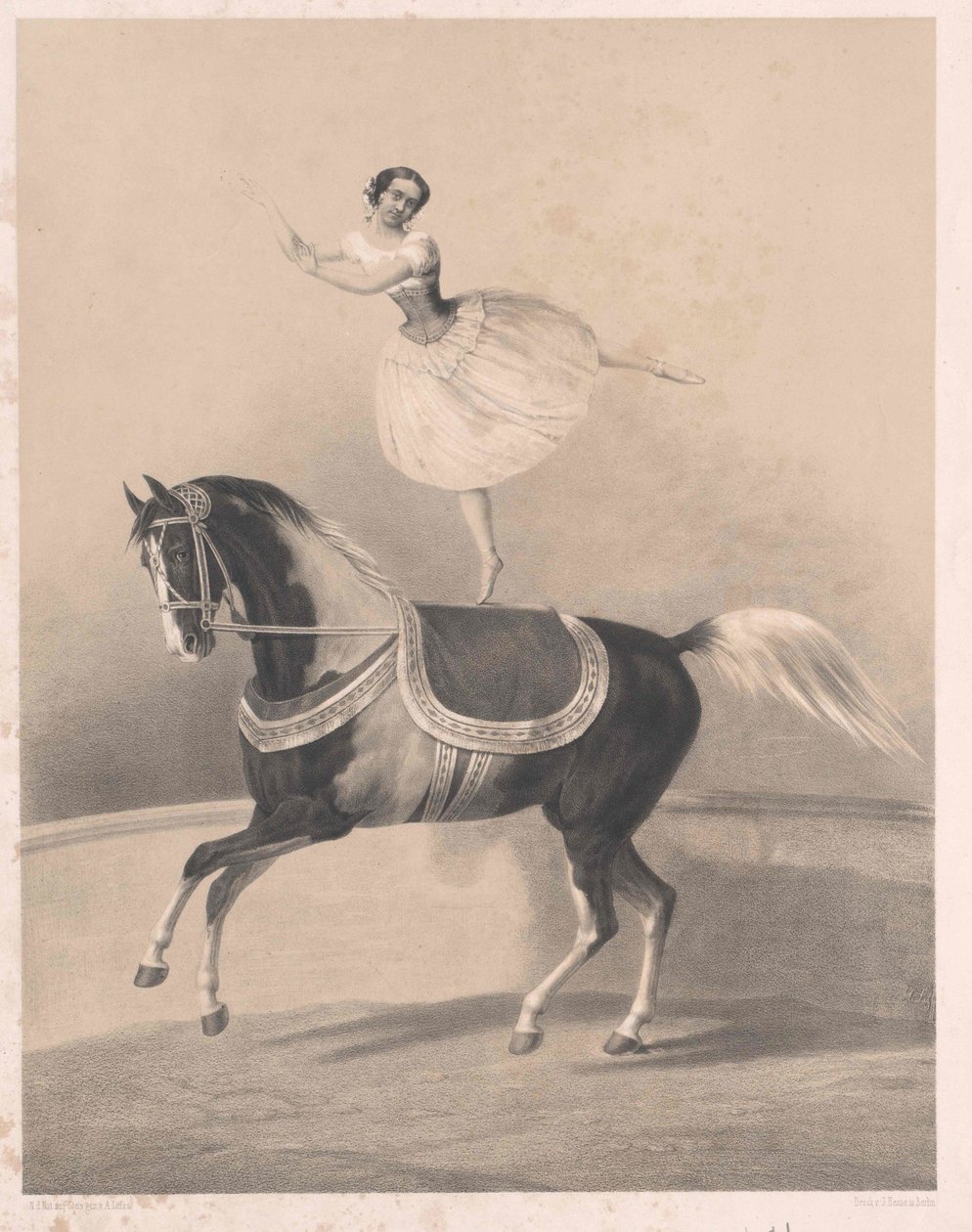 Louise Loisset od Artist Unknown