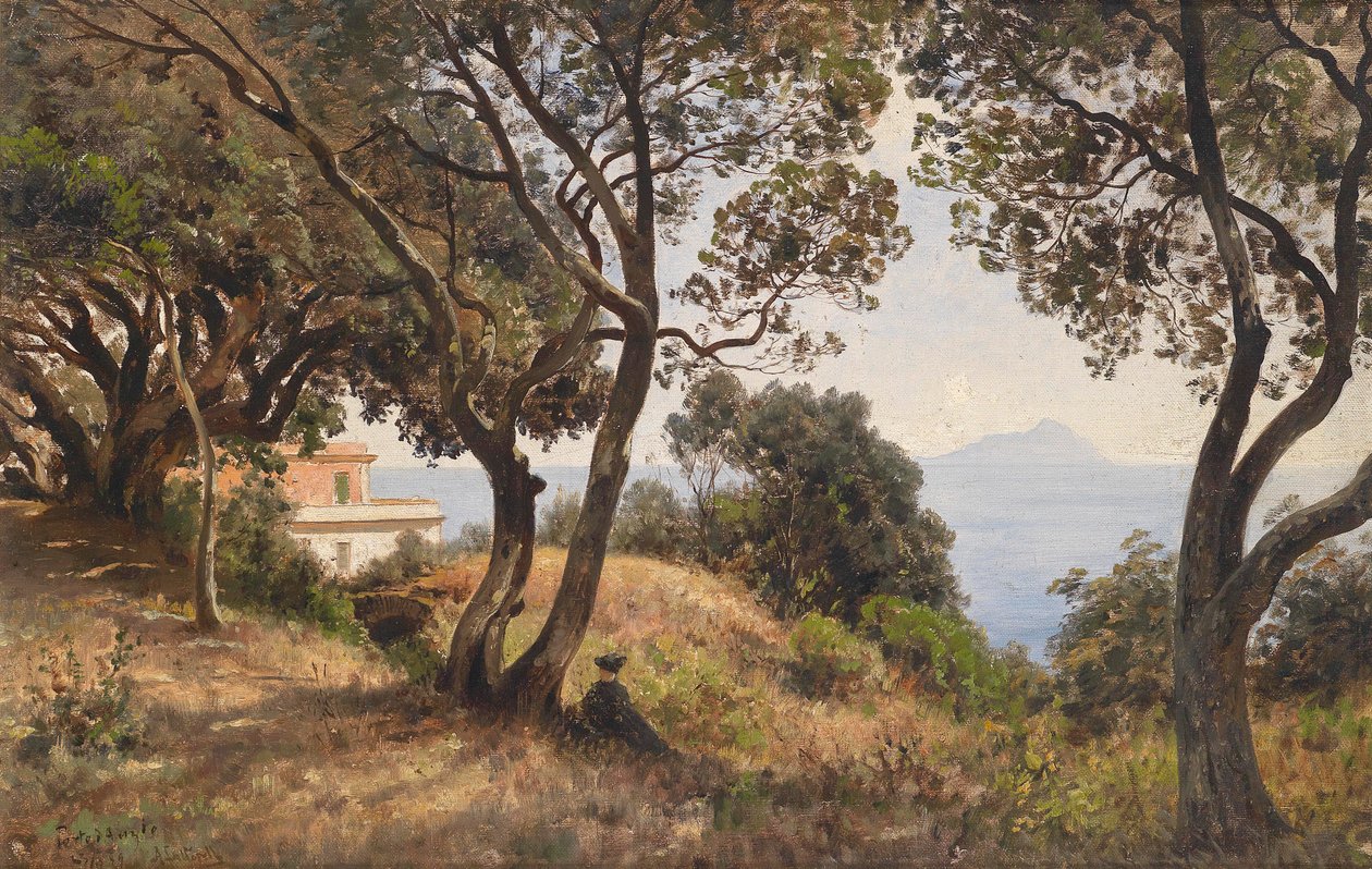Ascan Lutteroth jižní pohled 1889 od Ascan Lutteroth