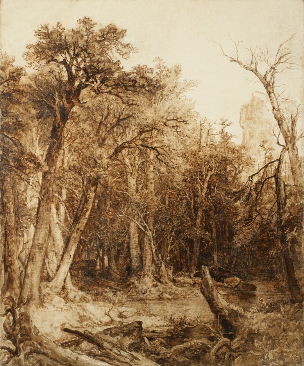 Prales, 1854 (olej na plátně opatřeném základním nátěrem) od Asher Brown Durand