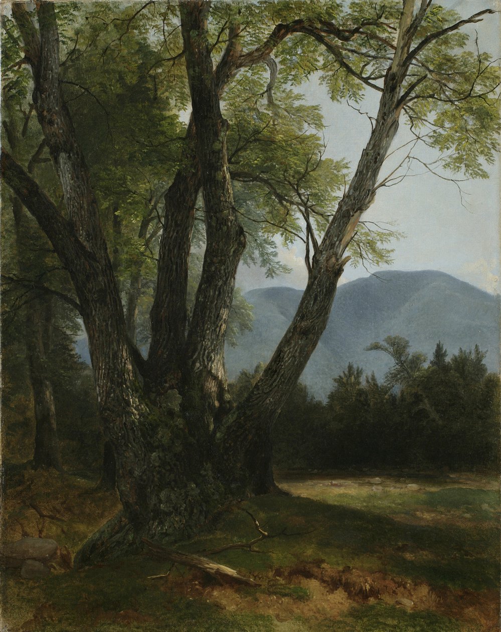 Shandaken, Ulster County, New York, 1854 od Asher Brown Durand