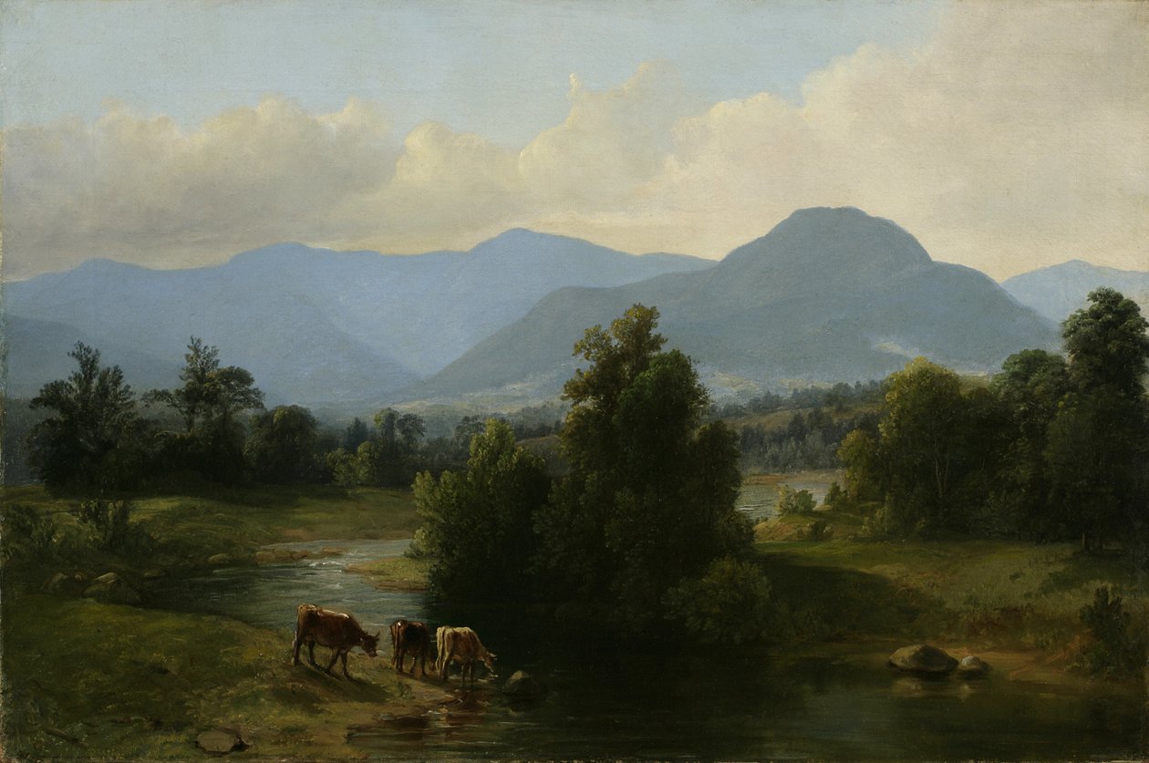 Pohled na pohoří Shandaken, New York, 1853 (olej na plátně) od Asher Brown Durand