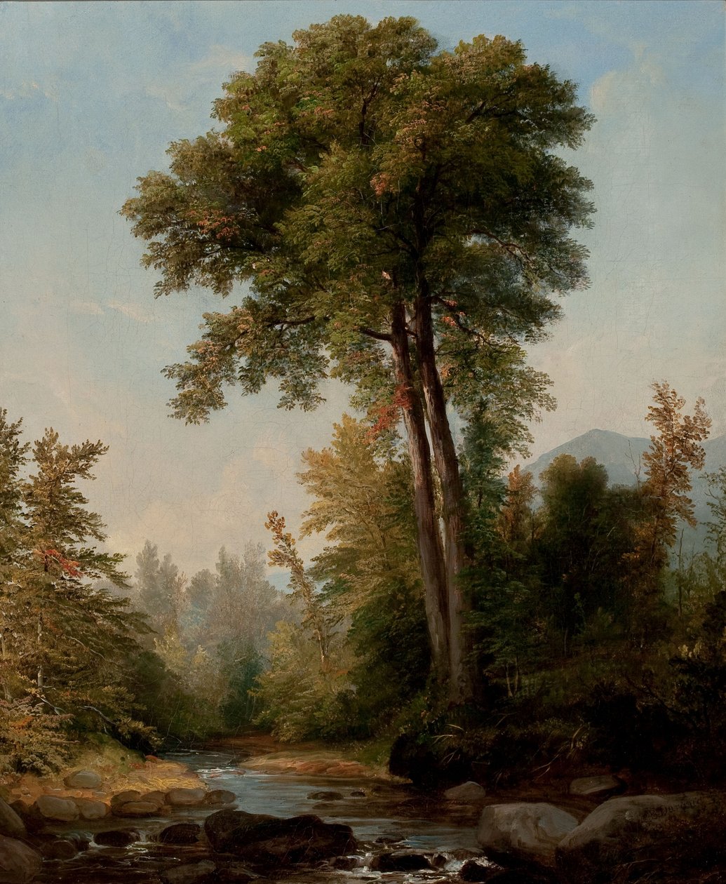 Přírodní monarcha od Asher Brown Durand