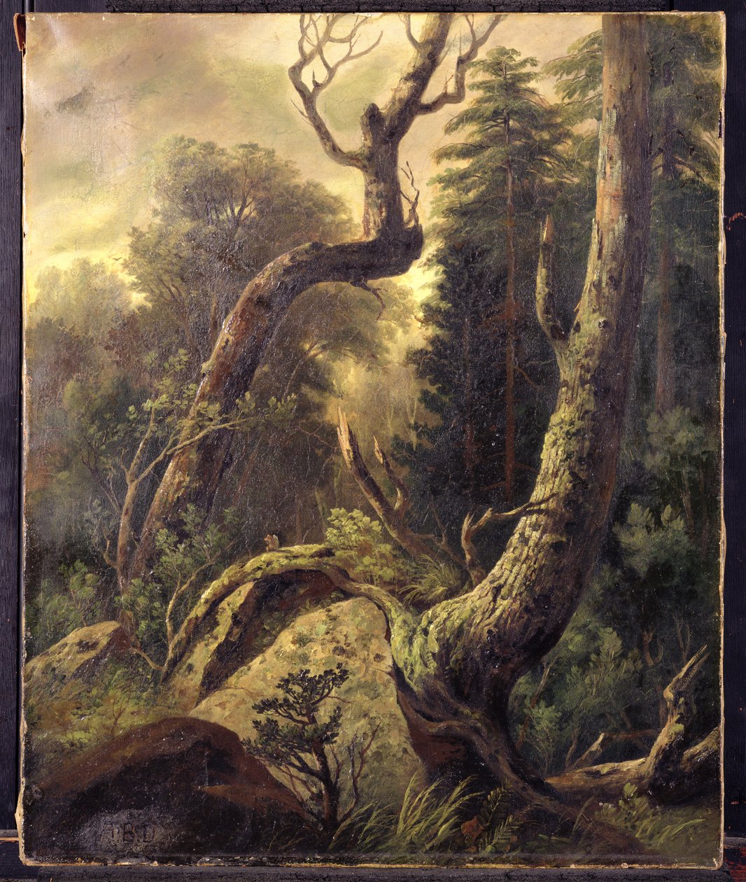 Lesní krajina od Asher Brown Durand