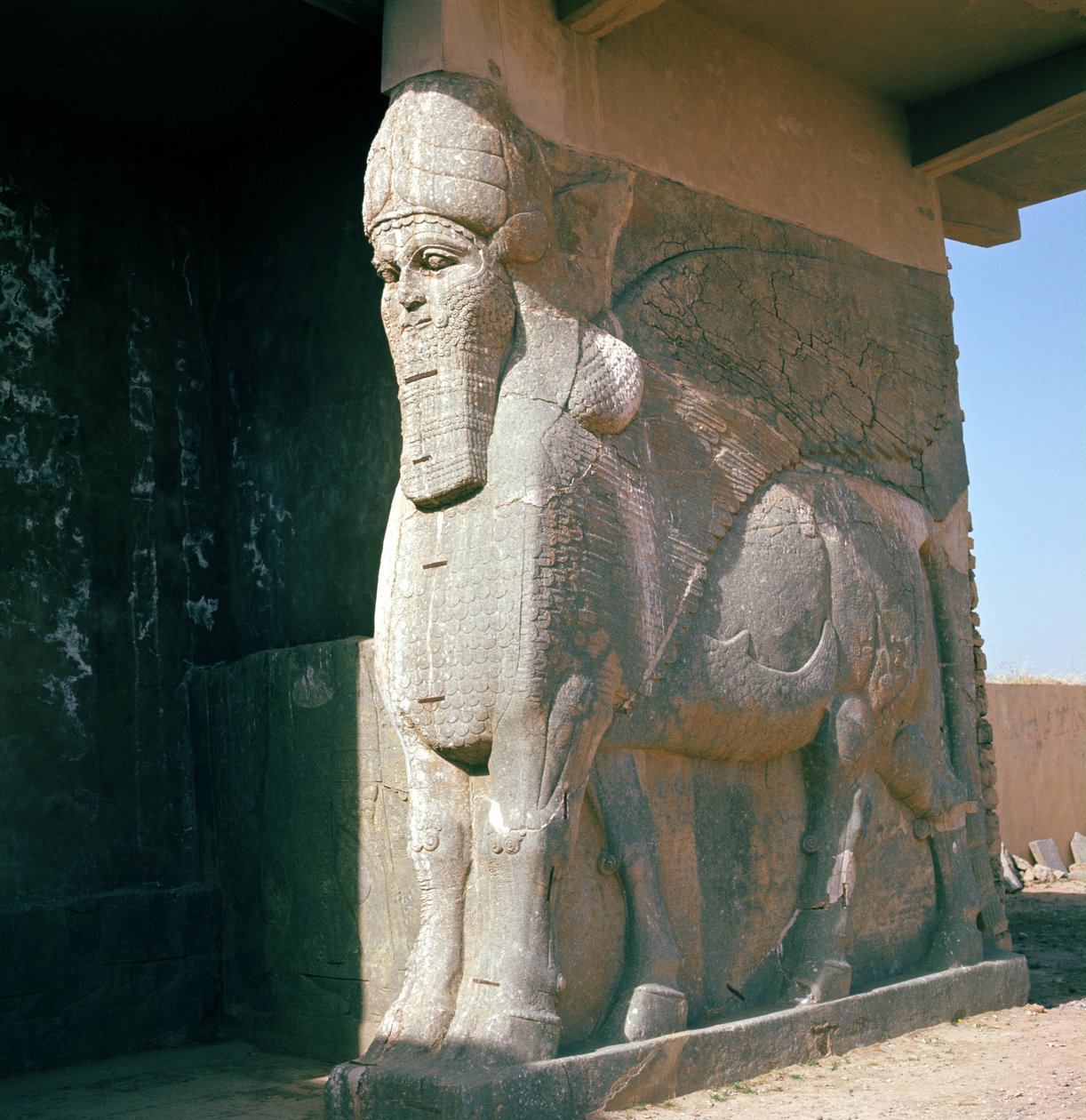 Okřídlený býk s lidskou hlavou, novoasyrské období, vláda Ashurnasirpal II (alabastr) od Assyrian
