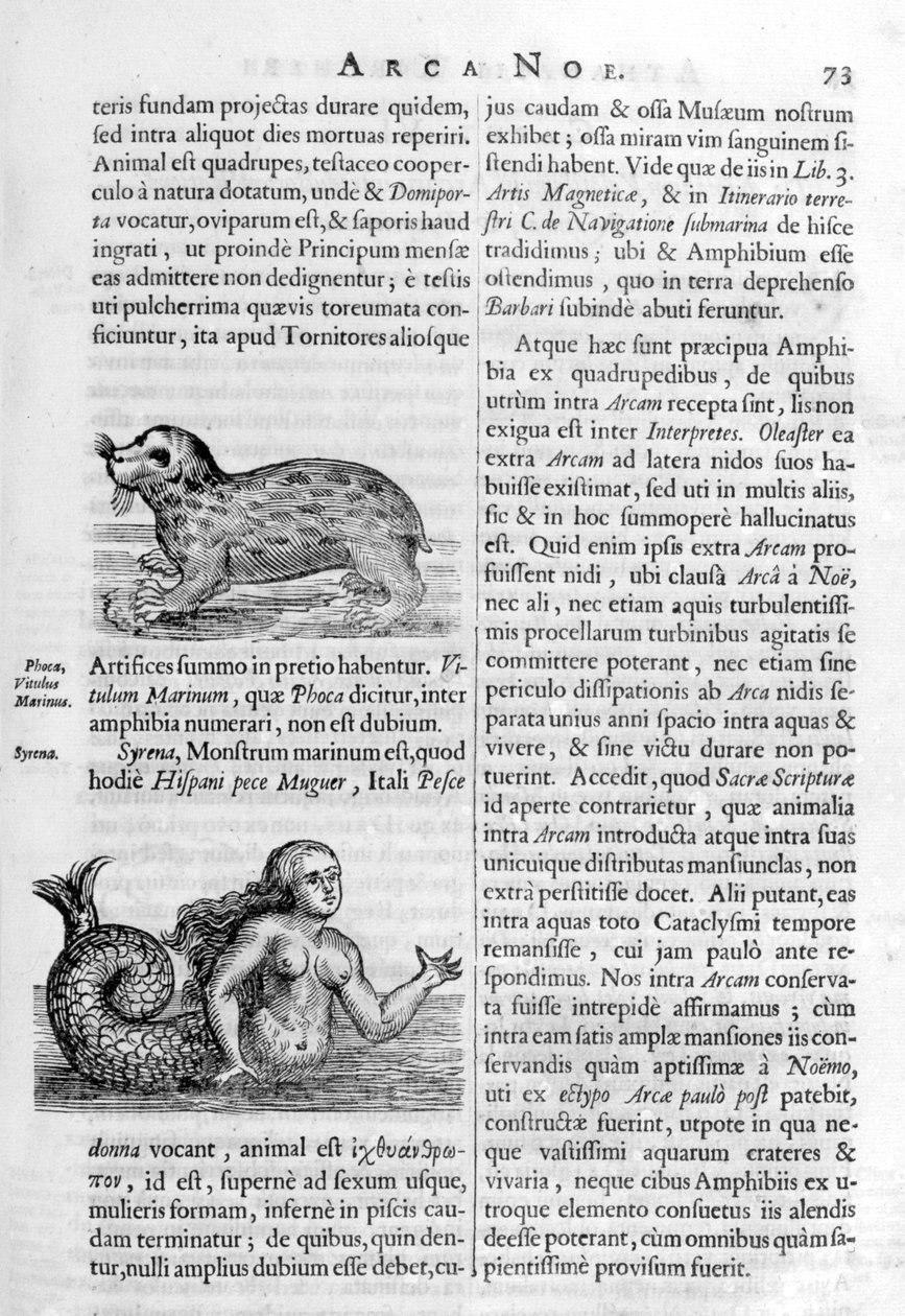 Mýtická stvoření, 1675. od Athanasius Kircher
