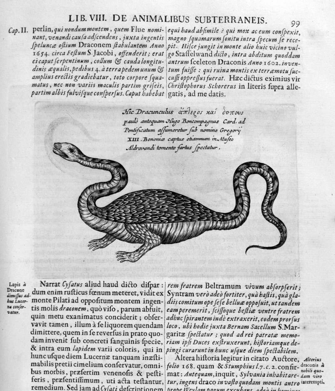 Malý drak, 1678 od Athanasius Kircher