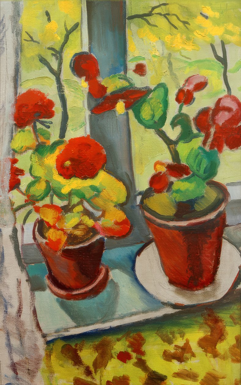 Květiny u okna (begonie v květináčích I) od August Macke