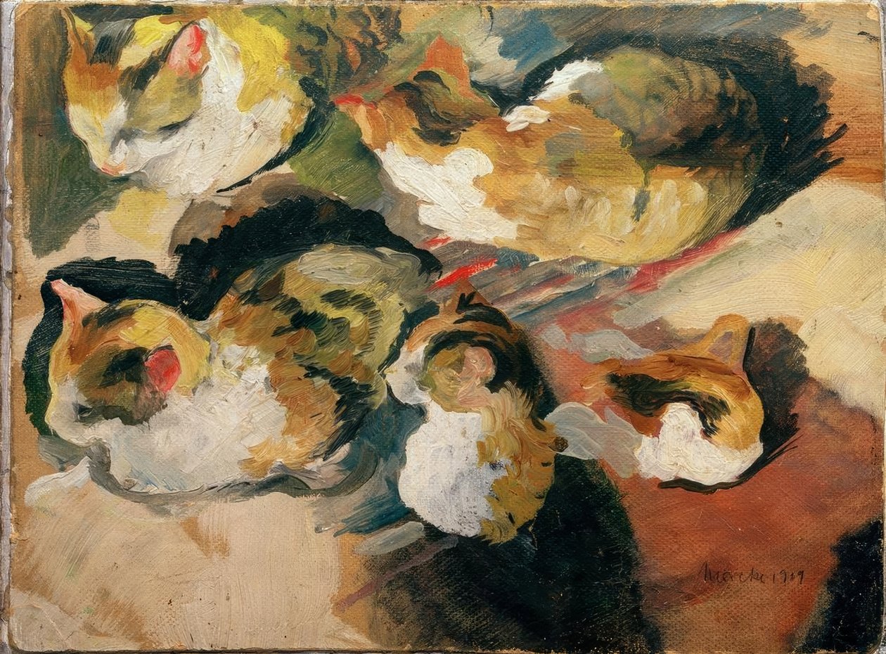 Kočičí studie od August Macke