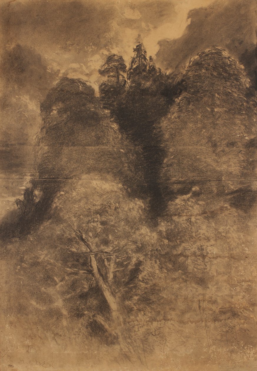 studie stromů od August Schaeffer von Wienwald