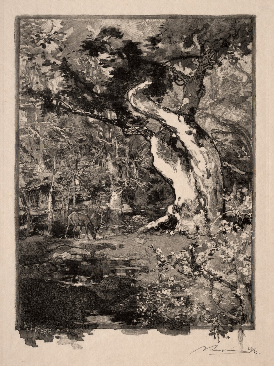 Le Clovis, Plateau de Bellecroix od Auguste Louis Lepère