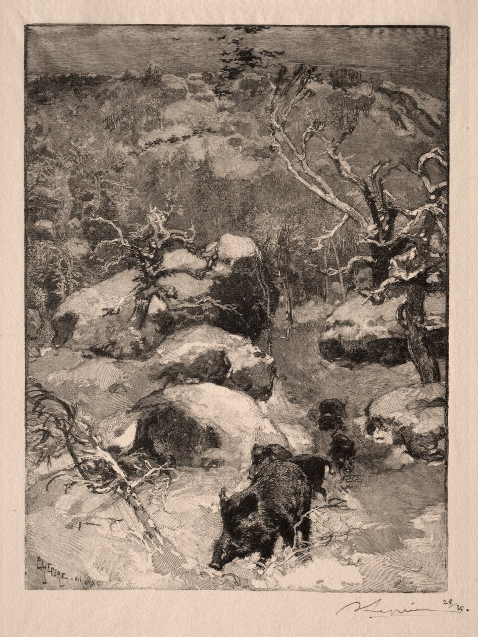 Roche Cuvier Chatillon, 1887. od Auguste Louis Lepère