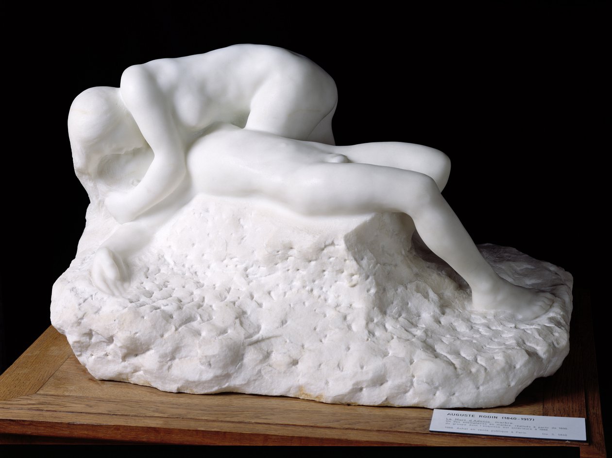 Smrt Adonise, po roce 1888 (mramor) od Auguste Rodin