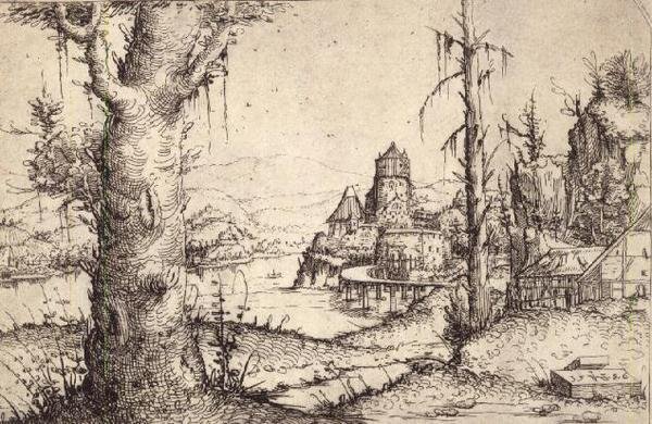 P.9-1993 Říční krajina se statným stromem od Augustin Hirschvogel