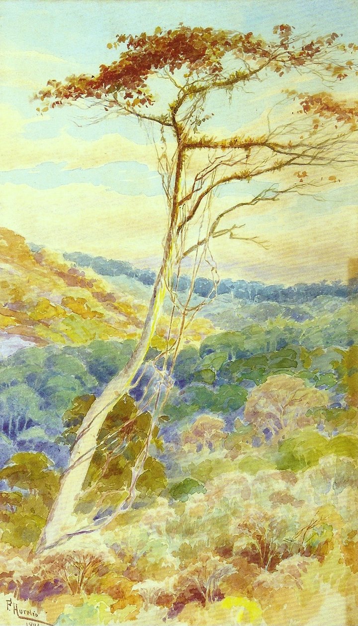 Krajina od Aurelio de Figueiredo