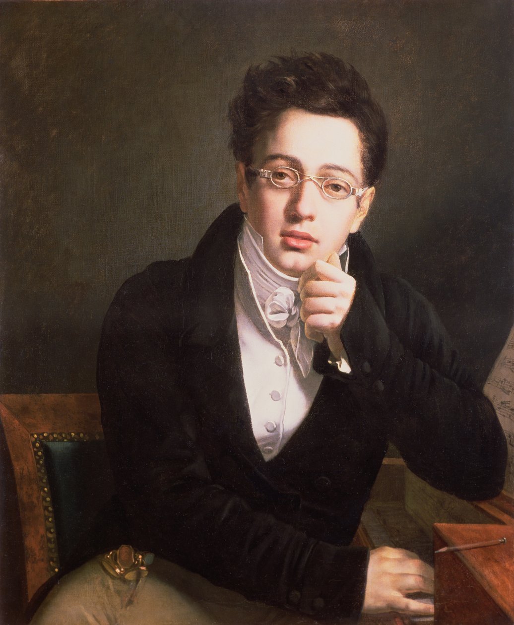 Portrét Franze Schuberta (1797-1828), rakouského skladatele, 17 let, kolem 1814 od Austrian School