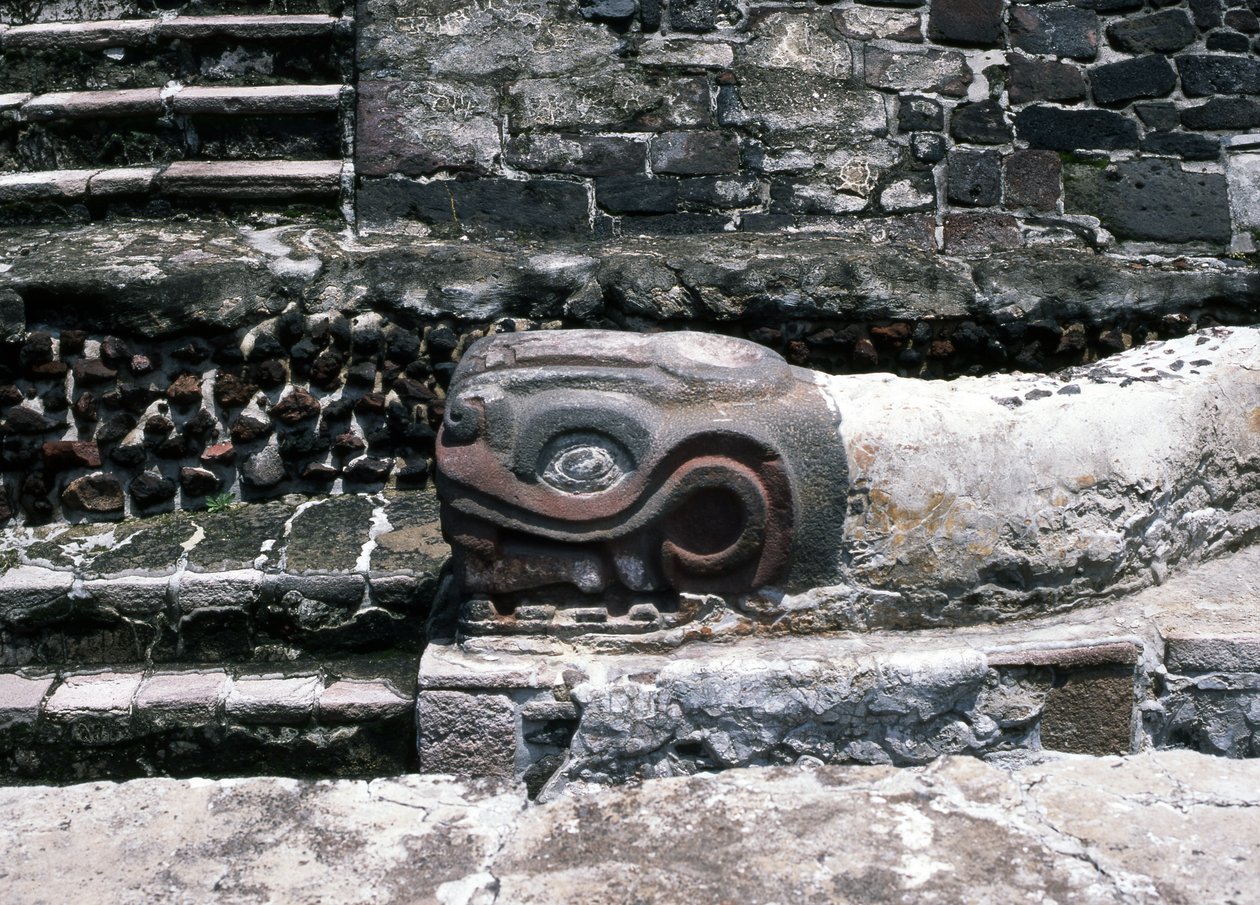 Had na Templo Mayor, pozdní post klasického období (kámen a štuk) od Aztec