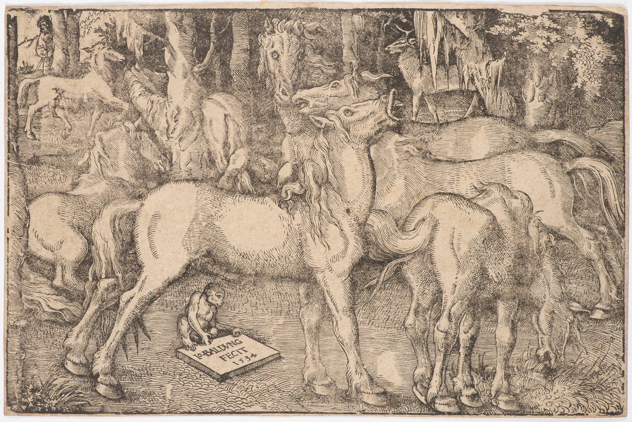Skupina sedmi koní, 1534. od Baldung