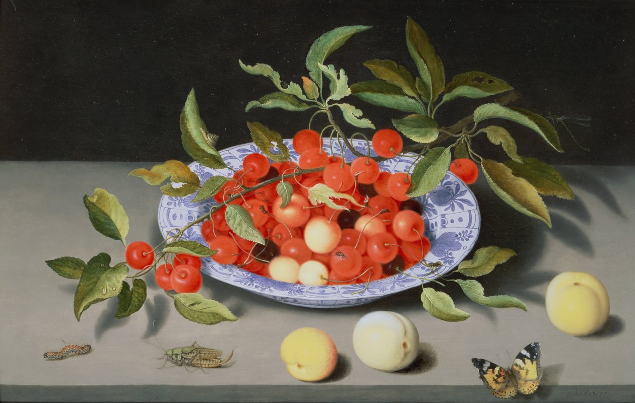 Zátiší s třešněmi a broskvemi od Balthasar van der Ast