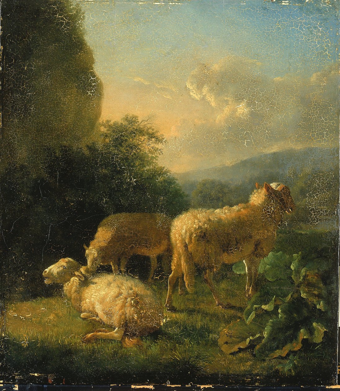 Ovce od Balthasar Paul Ommeganck