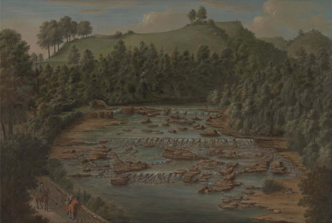 Aysgarth Falls, Yorkshire od Balthasar Nebot