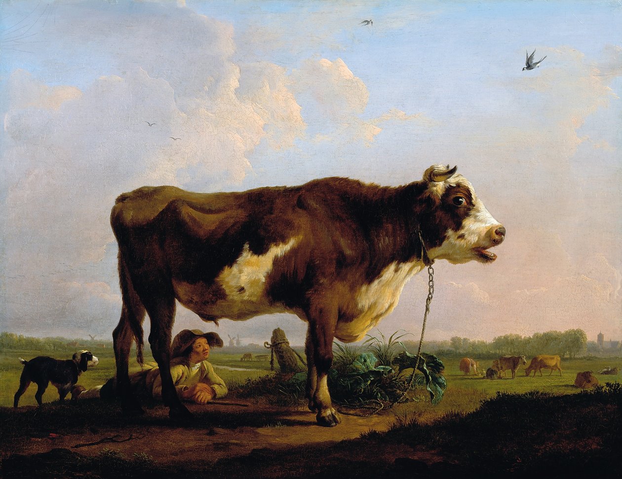 Býk od Balthasar Paul Ommeganck