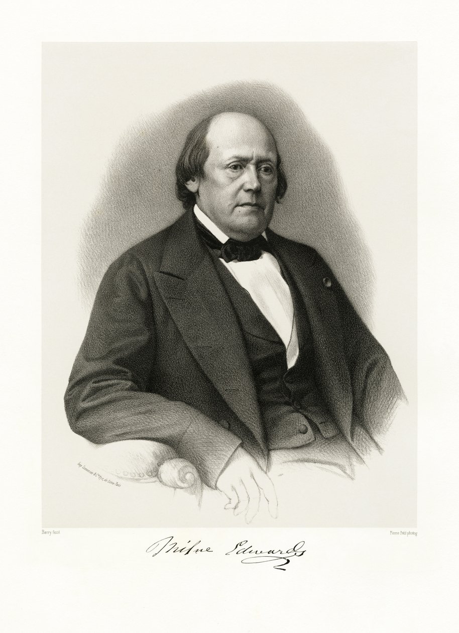 Henri Milne Edwards, 1865-66 od Barry