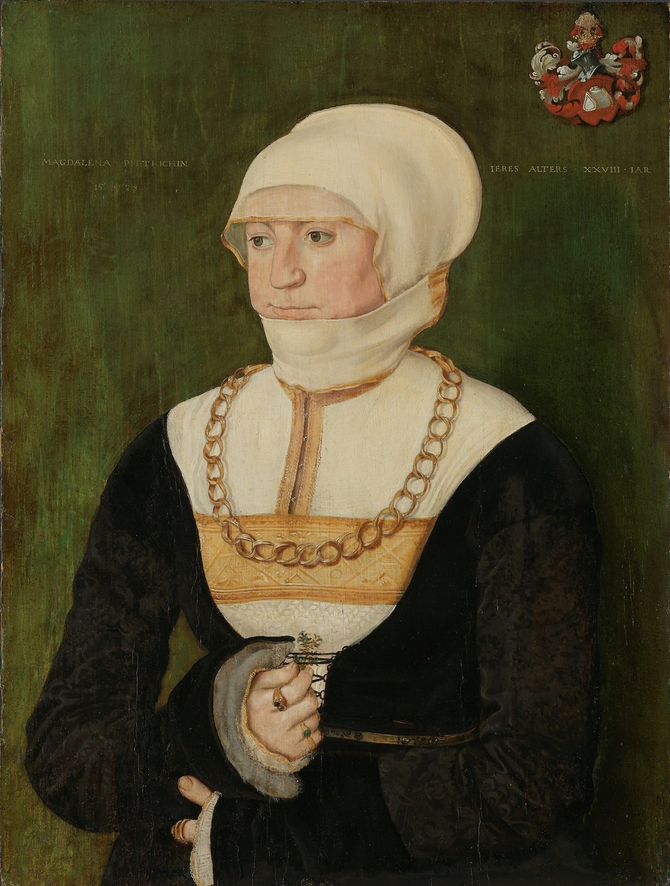 Portrét Magdaleny Pittrichin, 1528. od Barthel Beham