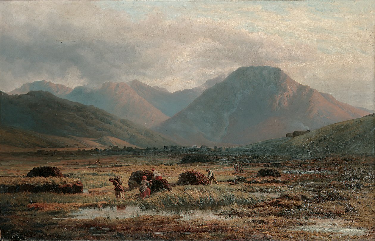 Rašeliniště, Letterfrack, Connemara od Bartholomew Colles Watkins