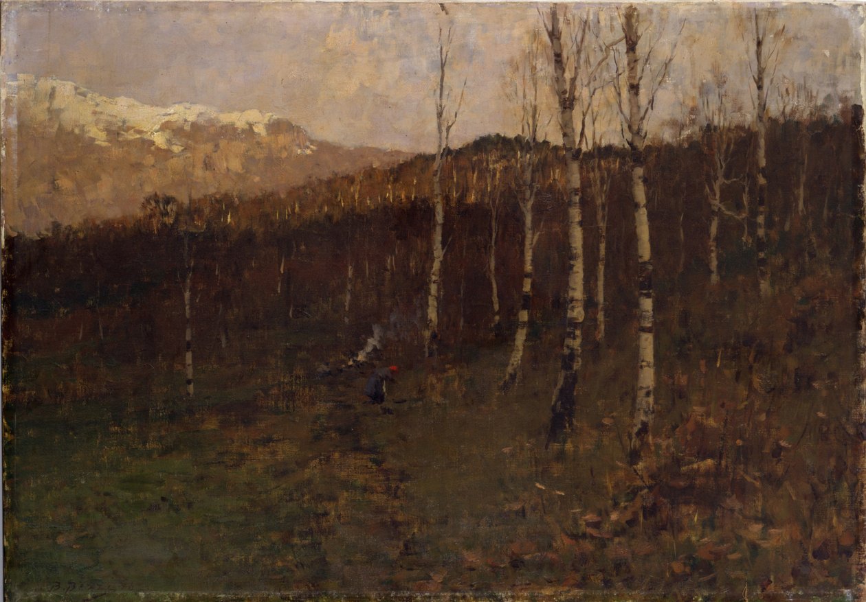 Břízový les Coppice od Bartolomeo Bezzi