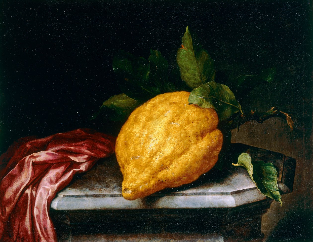 Citrón od Bartolomeo Bimbi