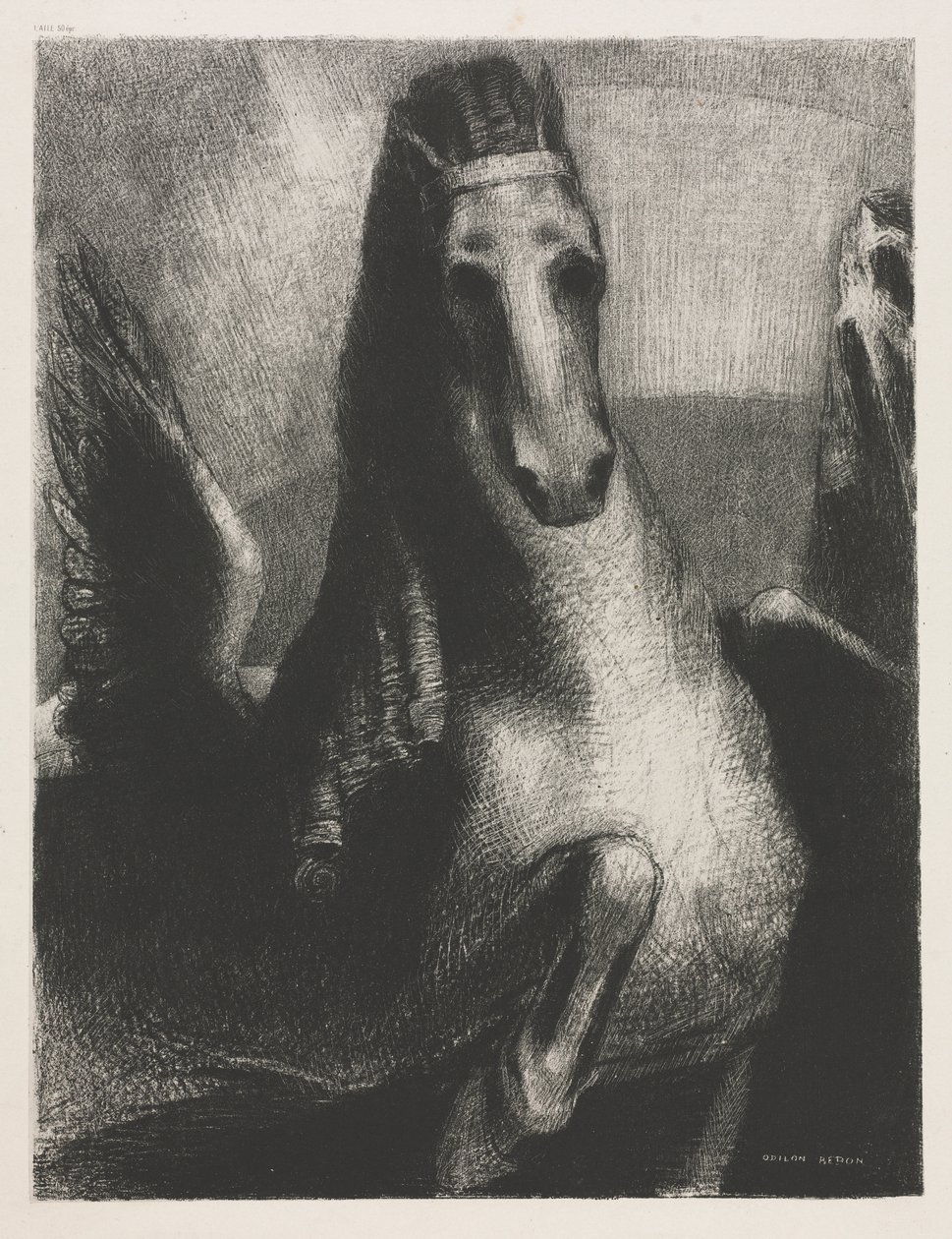 Křídlo od Becquet