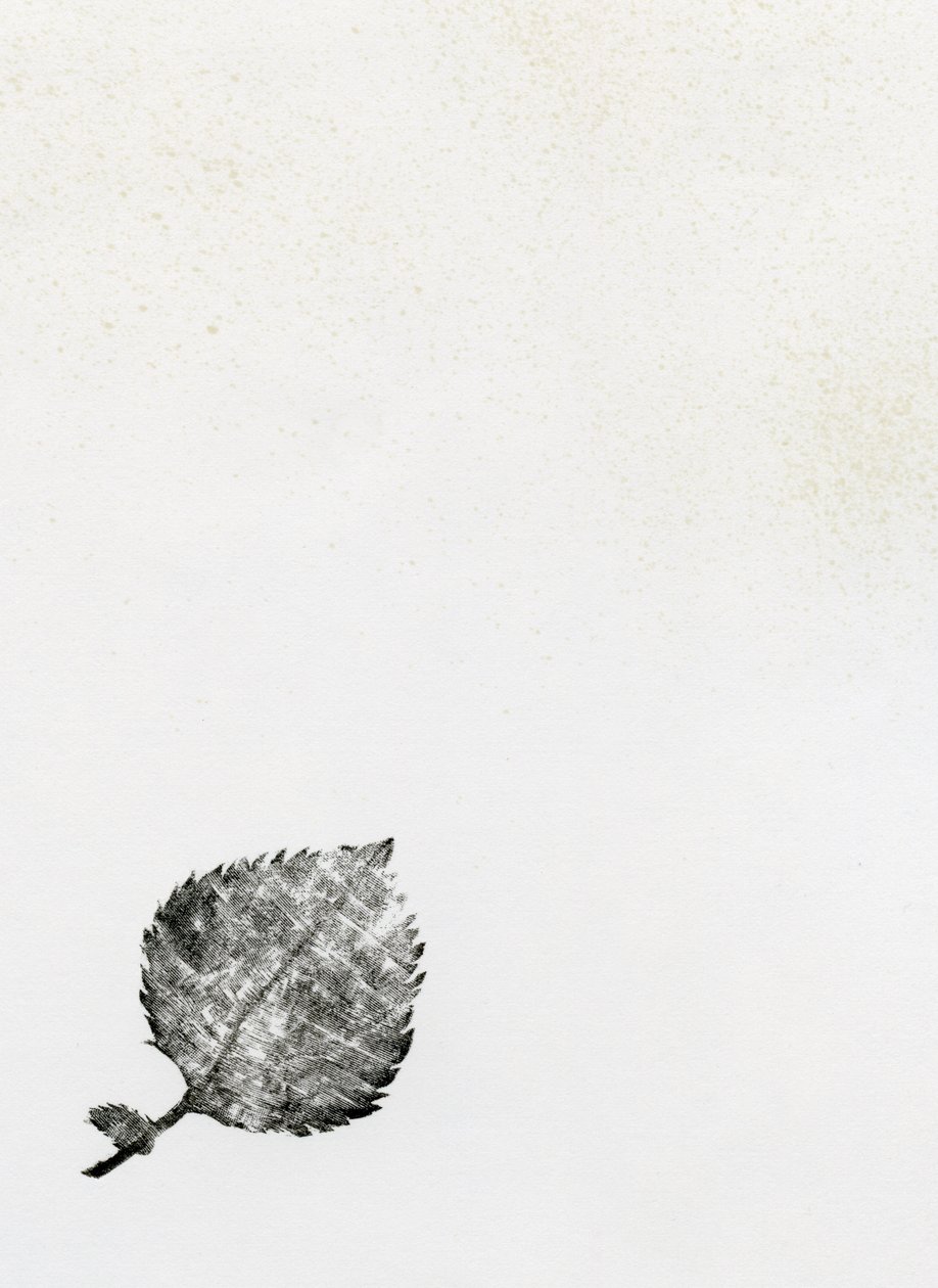 List {Fay-erie Dust}, 2014 (dřevorytina a inkoust na papíře) od Bella Larsson