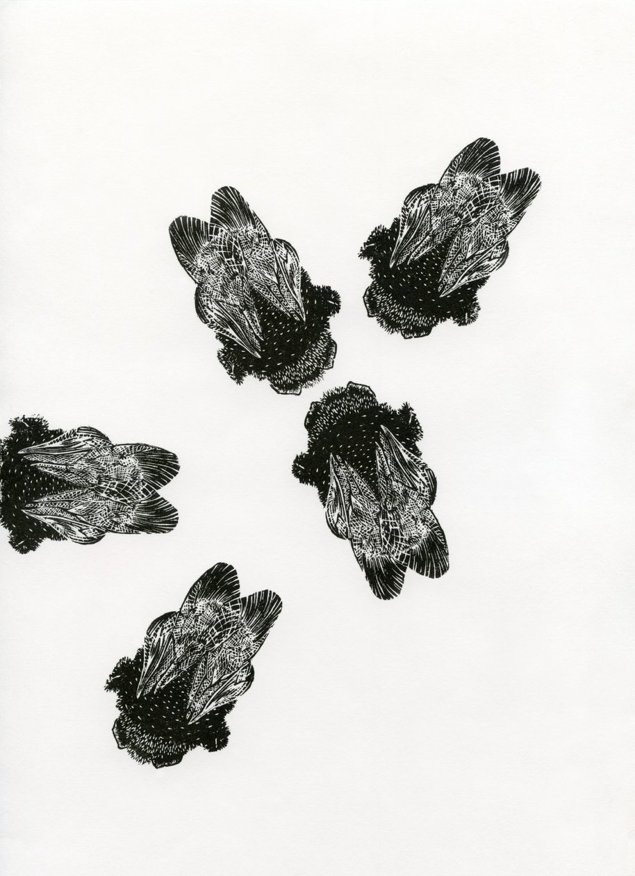 Setkání čmeláků, 2013 (dřevoryt na papíře) od Bella Larsson