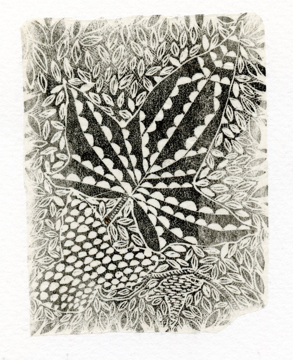 Ivy, 2014, (dřevoryt na papíře) od Bella Larsson
