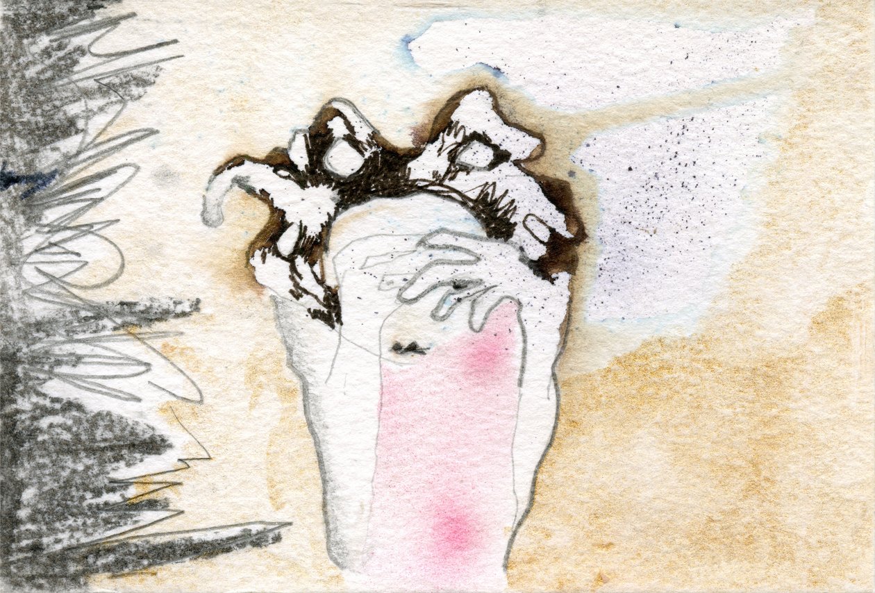 Peek-a-boo, 2000 od Bella Larsson