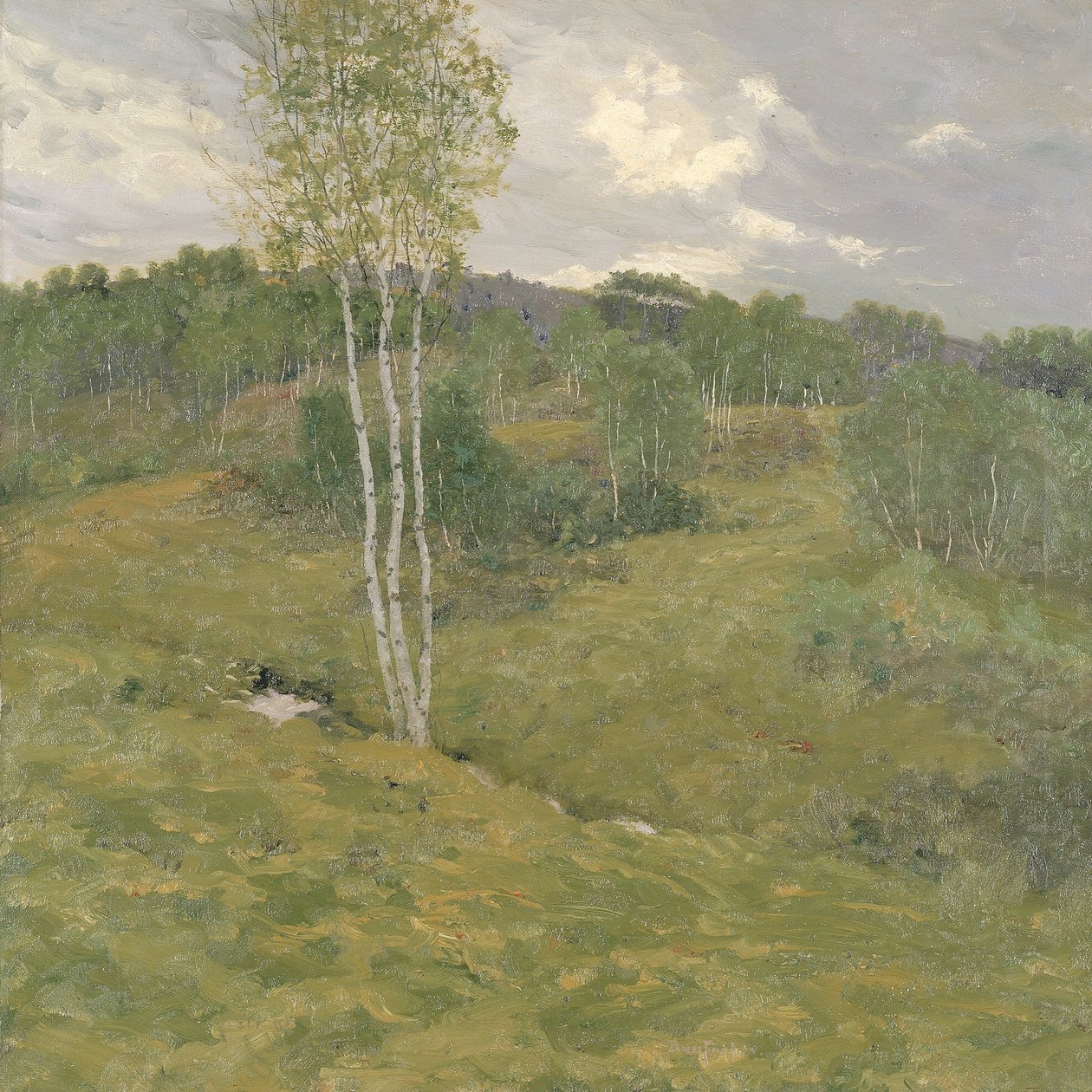 Birch-Clad Hills, ca. 1908. od Ben Foster