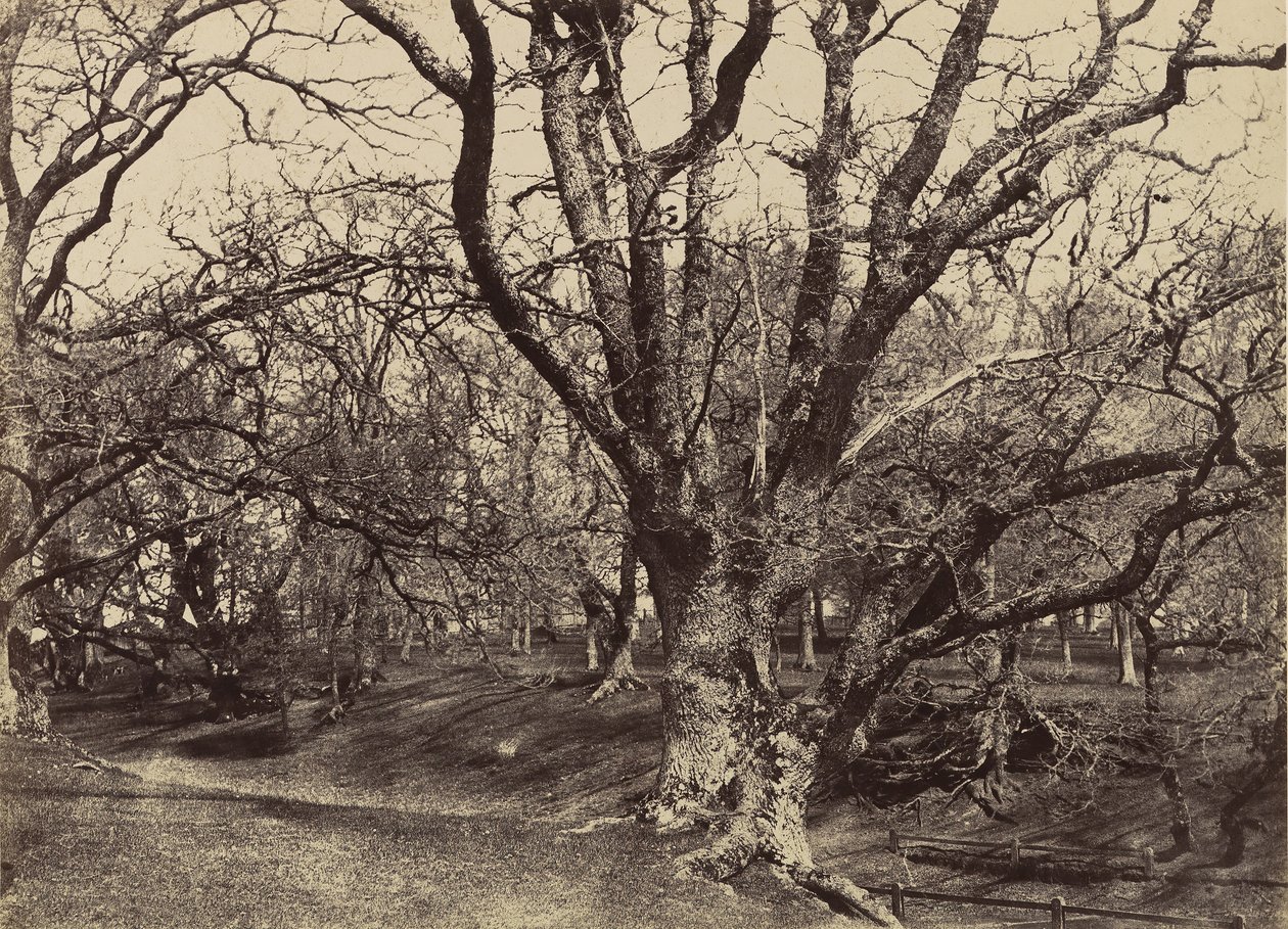 Pepperharrow Park, Surrey, 1852-54. od Benjamin Brecknell Turner
