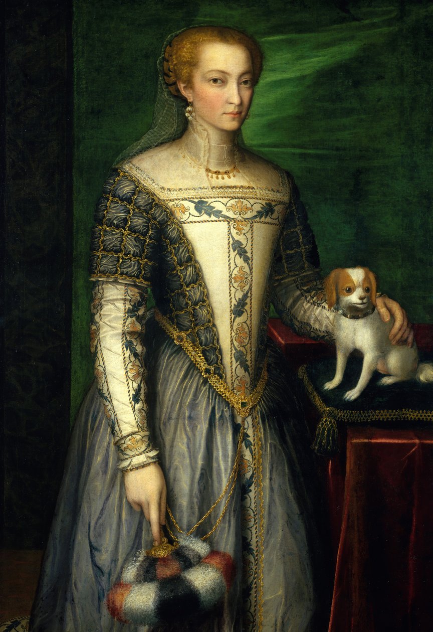 Portrét ženy, konec 1560. od Bernardino Campi