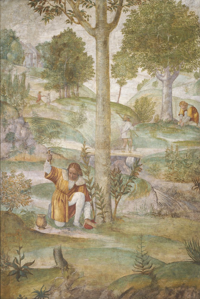 Cephalus skrývající klenoty, c. 15201522. od Bernardino Luini
