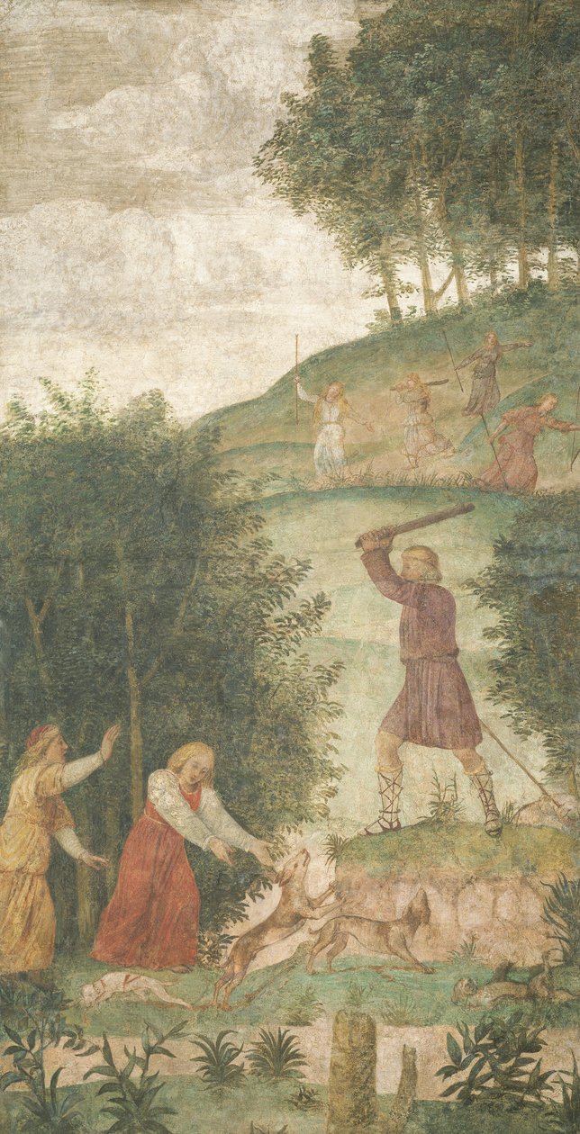 Cephalus potrestán na lovu od Bernardino Luini
