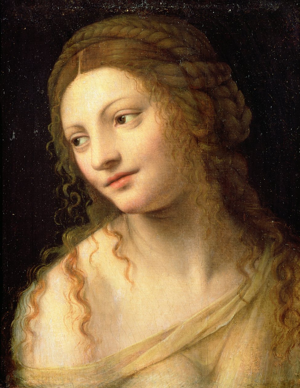 Neznámý obrázek od Bernardino Luini
