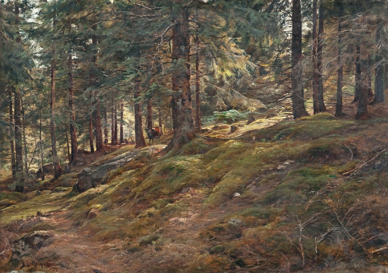 Světlo v lese od Berndt Lindholm