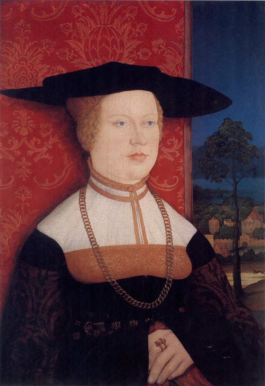 Portrét Margarethe Rott, rozené Vöhlin od Bernhard Strigel