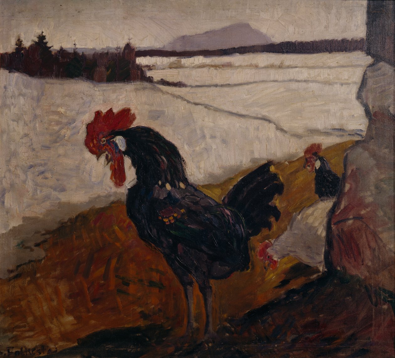 Kohout od Bernhard Dorotheus Folkestad