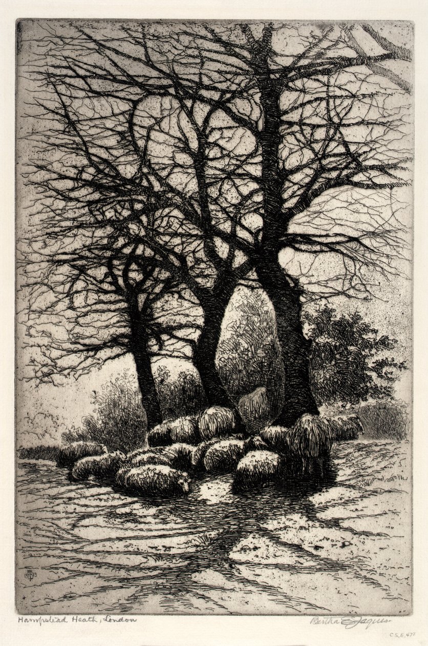 Hampstead Heath, Londýn od Bertha E. Jaques