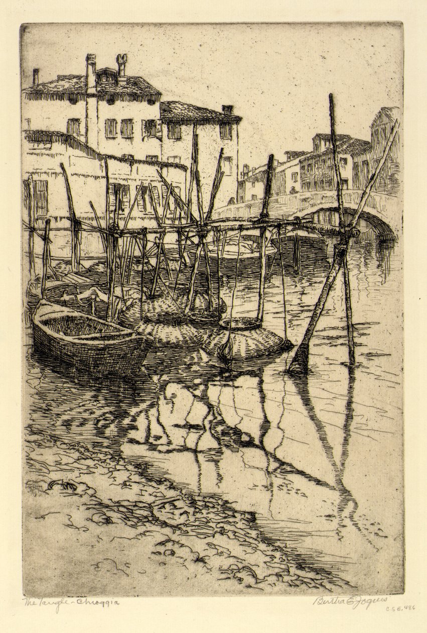The Tangle, Chioggia od Bertha E. Jaques