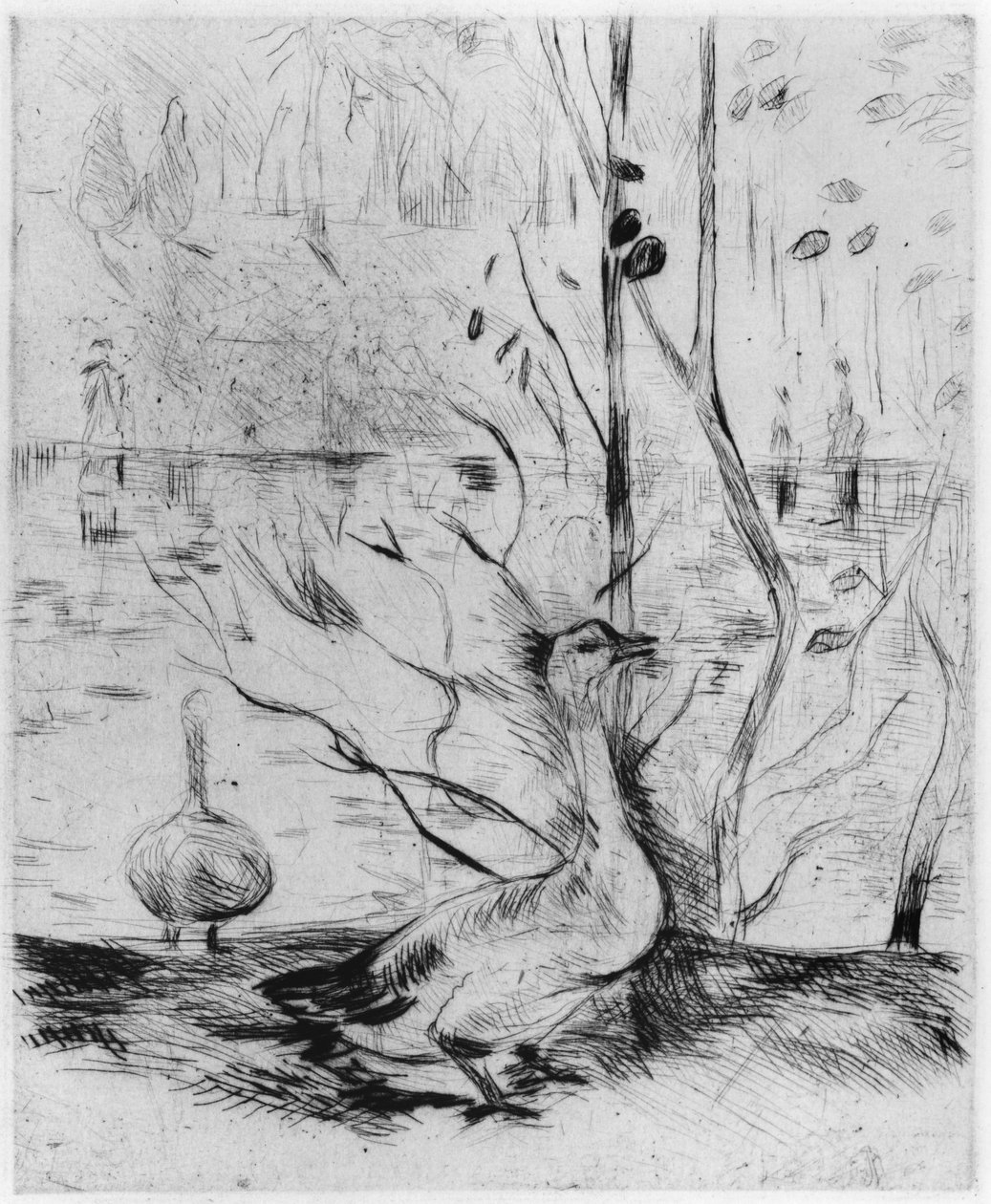 Husa, 1889 (suchá jehla) od Berthe Morisot
