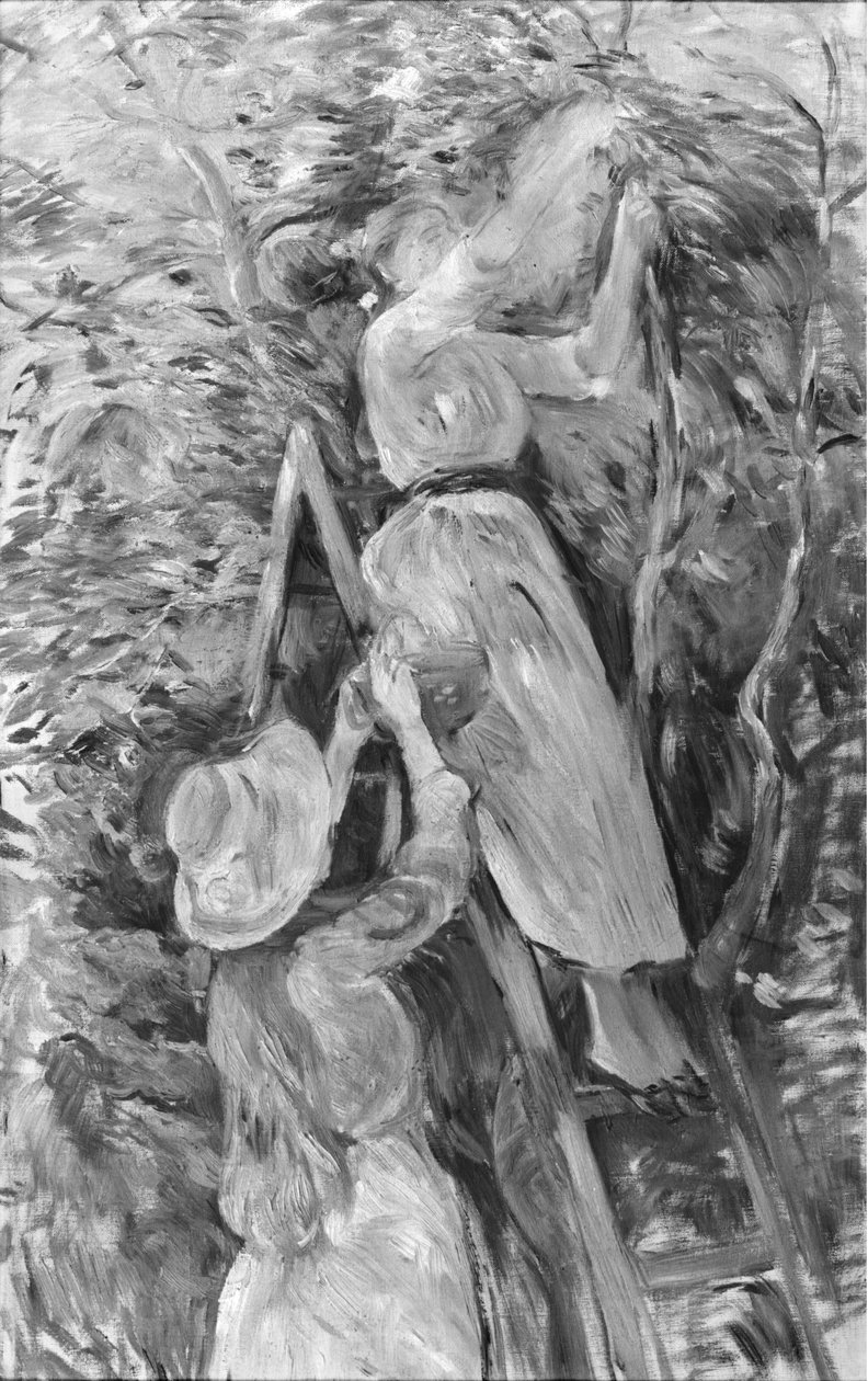 Sbírání třešní, 1891 (viz také 18907) od Berthe Morisot