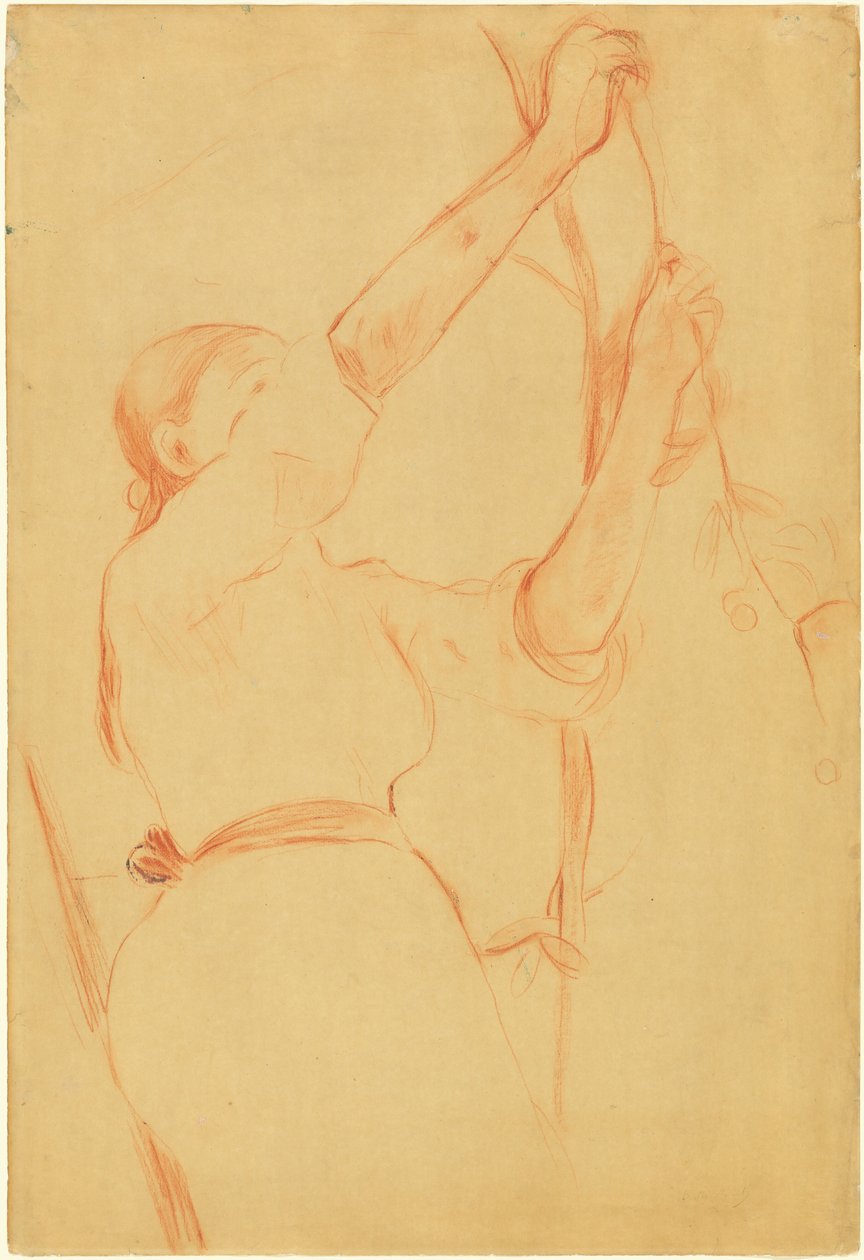 Dívka sbírající třešně, 1891. od Berthe Morisot