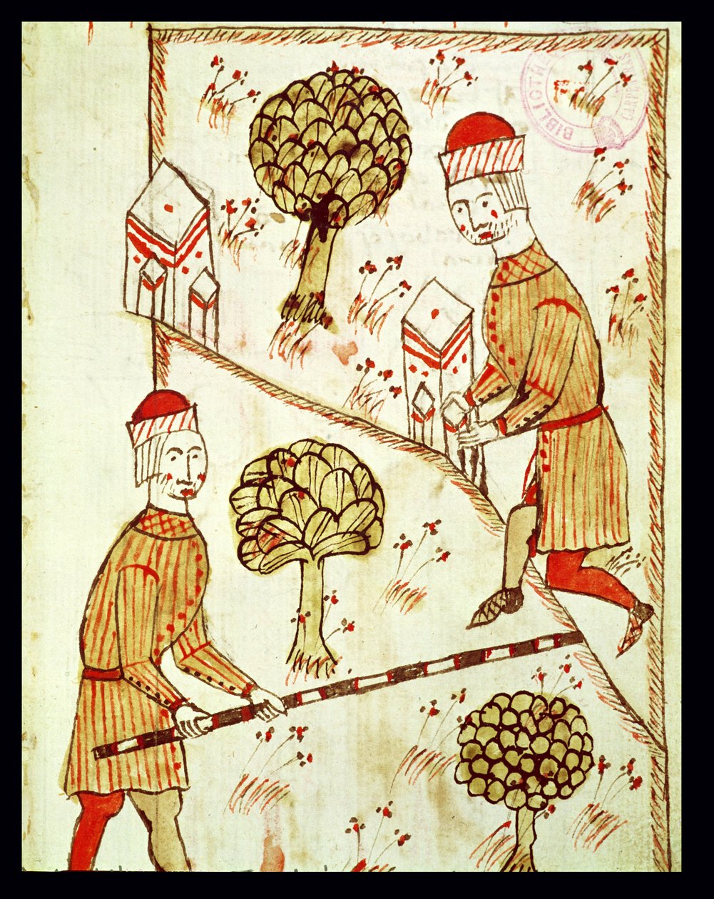 Ms 327 fol. 28r Vyměřování a vymezování pozemků, z „Traite d